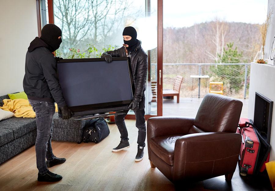 1610657370burglars-carrying-TV