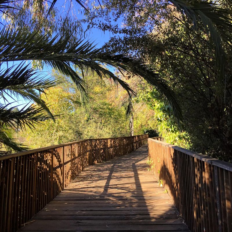 Los Gatos Creek Trail in San Jose California