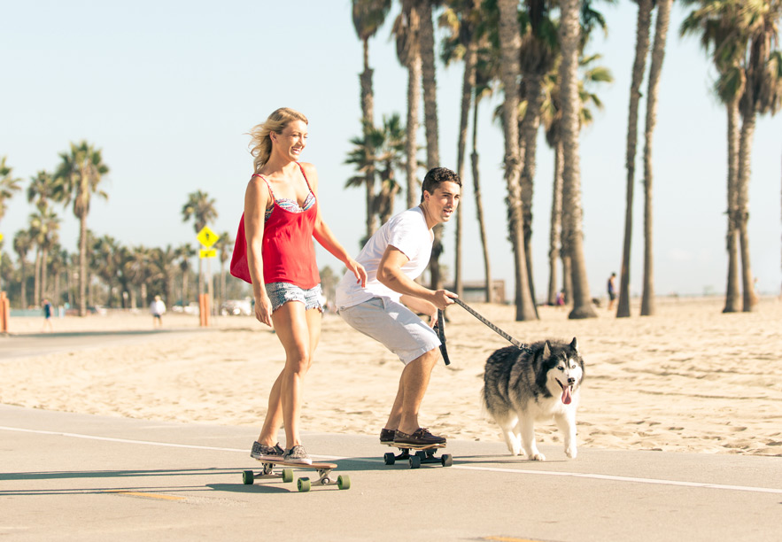 a beach in Los Angeles