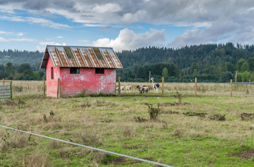 farm house in auburn washington